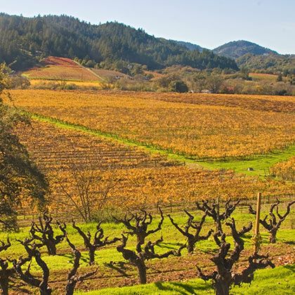 Zinfandelic | California Zinfandel Wine Regions