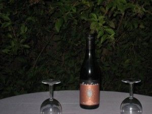 Madfish Pinot Noir